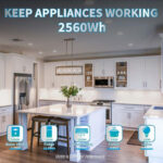 Літієва батарея Dyness B4850 2.4kWh 48V LiFePO₄ (літій-залізо-фосфатний акумулятор) - Зображення 5
